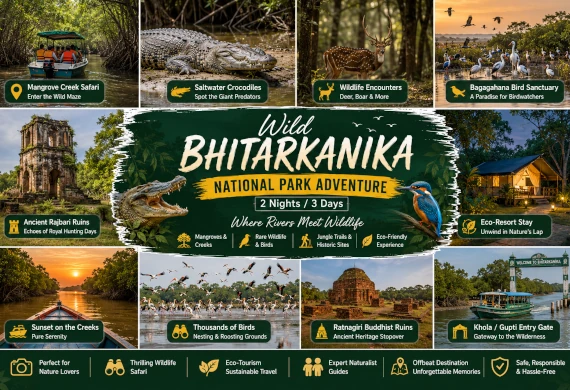 Bhitarkanika Adventure