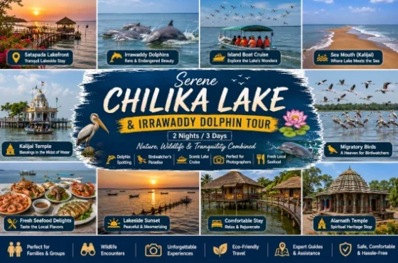 Chilika Dolphin Tour