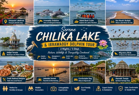 Chilika Dolphin Tour